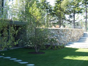 Curved field stone wall